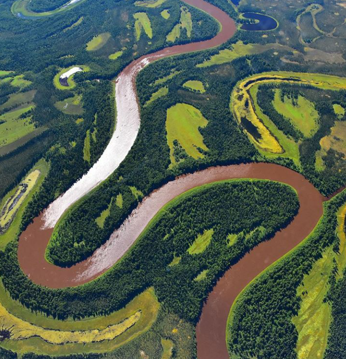 arctic boreal experiment alaska tree river